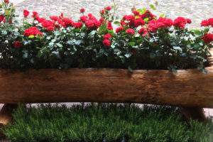 Fiori Balconi e Terrazzi a Marostica Vicenza copia