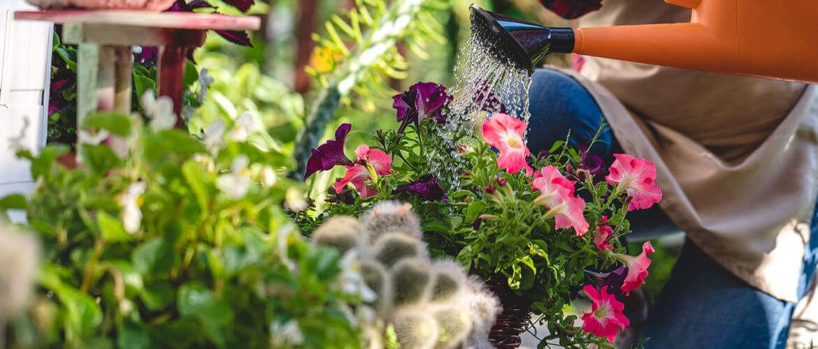 Fiori per Terrazzi e Balconi a Marostica Vicenza