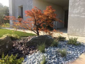 Giardini e allestimenti floreali Floricoltura Tres a Marostica