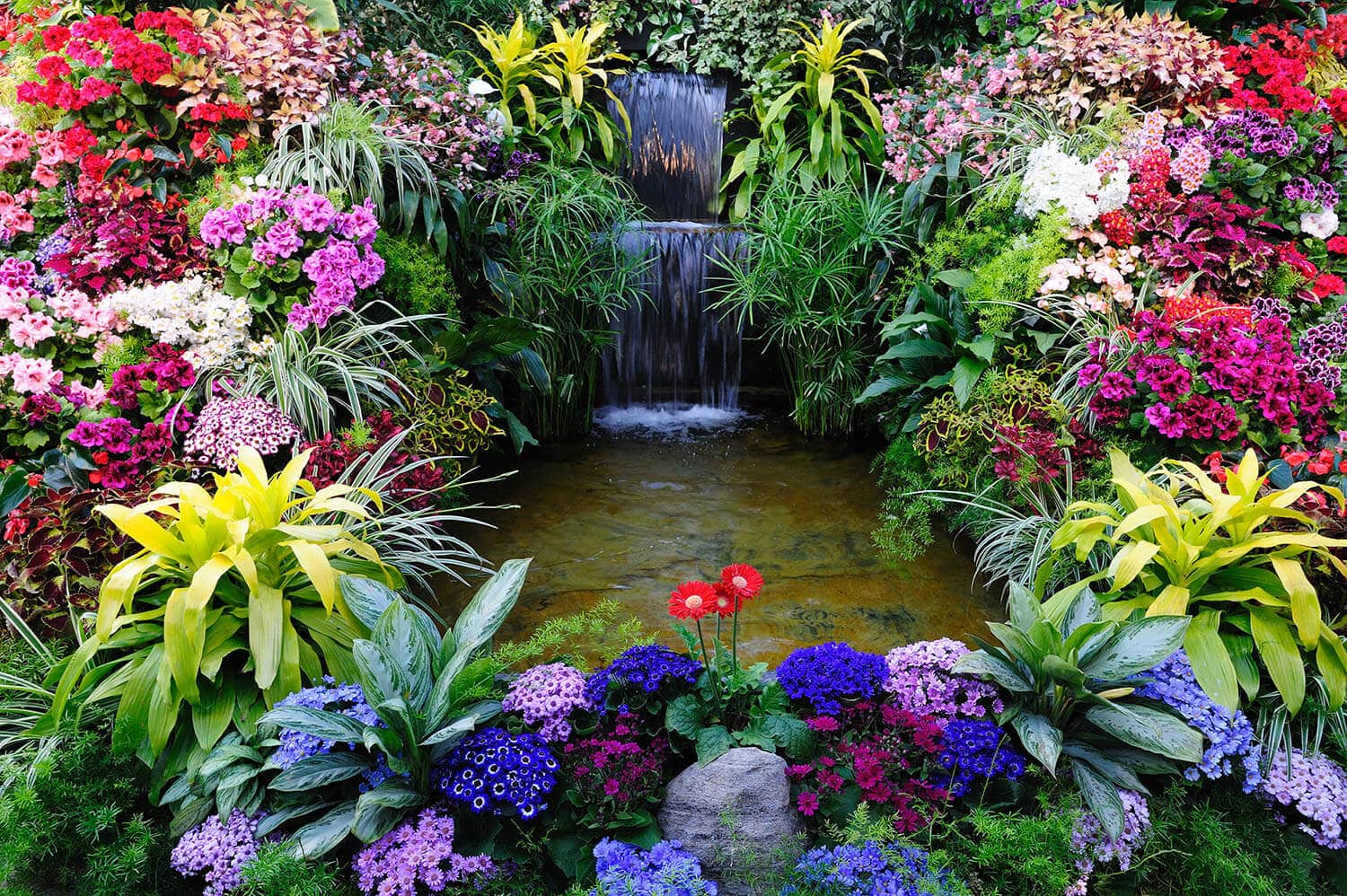 Floricoltura Tres Piante Fiori accessori da giardino Marostica Vicenza