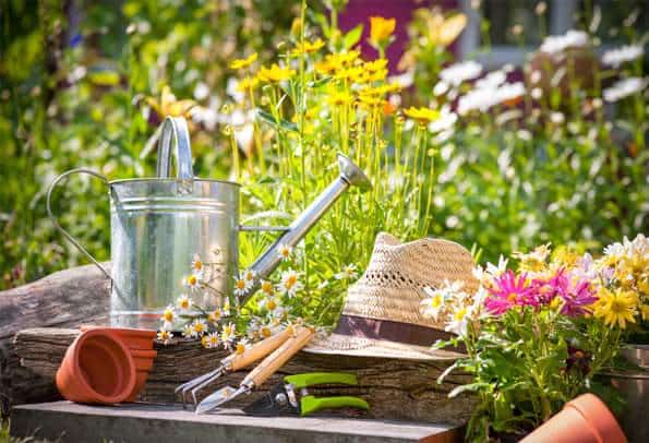 Piante da giardino aromatiche e sementi Floricoltura Tres a Marostica